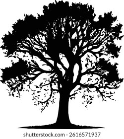 Silhouette Tree with leaves and Branches