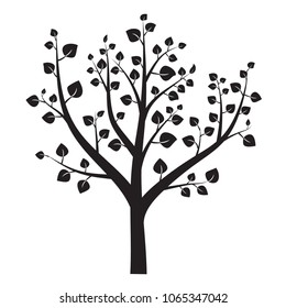 Silhouette of a tree with leaves.  Floral, plant design element. White and black  vector Illustration.
