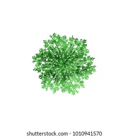 silhouette of a tree with leaves repeats in a circle splash green watercolor. shape illustration of tree branches or roots for concept design, creative nature