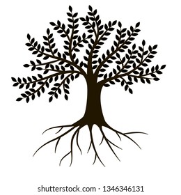 Silhouette avec feuilles et racines isolées sur fond blanc. Illustration vectorielle