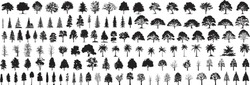 Silhouette Tree Line Drawing Set, Side View, Set Of Graphics Trees Elements Outline Symbol For Architecture And Landscape Design Drawing. Vector Illustration In Stroke Fill In White. Tropical