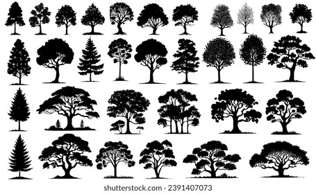 silhouette tree line drawing set, Side view, set of graphics trees elements outline symbol for architecture and landscape design drawing.