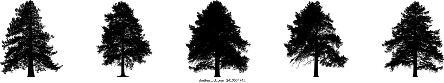 Silhouette tree line drawing set, Side view, graphic tree elements set outline symbol for architecture and landscape design drawing.