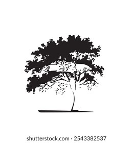 silhueta conjunto de desenho de linha de árvore, elementos de árvores de gráficos símbolo de contorno para arquitetura e desenho de design de paisagem Ilustração de vetor em preenchimento de traçado em branco