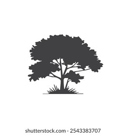 silhueta conjunto de desenho de linha de árvore, elementos de árvores de gráficos símbolo de contorno para arquitetura e desenho de design de paisagem Ilustração de vetor em preenchimento de traçado em branco