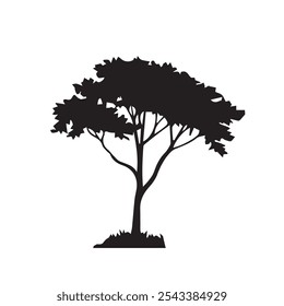 silhueta conjunto de desenho de linha de árvore, elementos de árvores de gráficos símbolo de contorno para arquitetura e desenho de design de paisagem Ilustração de vetor em traçado preenchimento branco.
