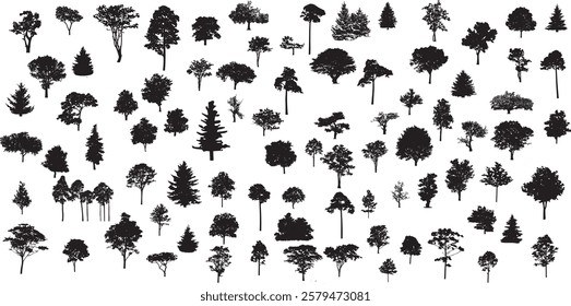 silhouette tree line drawing set, Side view, set of