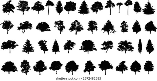 silhouette tree line drawing set, Side view, set of graphics trees elements outline symbol for architecture and landscape design drawing