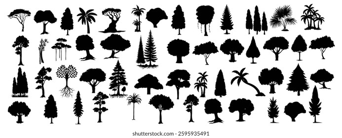  silhouette tree line drawing set, Side view, set of graphics trees elements outline symbol for architecture and landscape design drawing. Vector illustration in stroke fill in white. Tropical