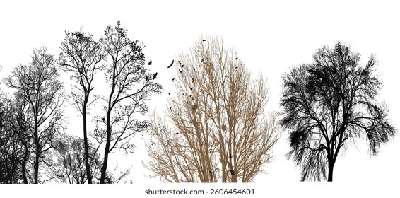 silhouette tree line drawing set, Side view, set of graphics trees elements outline symbol for