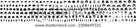 silhouette tree line drawing set, Side view, set of graphics trees elements outline symbol for architecture and landscape design drawing. Vector illustration in stroke fill in white. Tropical