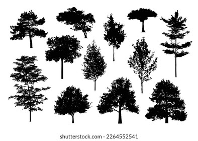 silhouette tree line drawing, Side view, set of graphics trees elements outline symbol for architecture and landscape design drawing. Vector illustration in stroke fill in white. Tropical, street tree