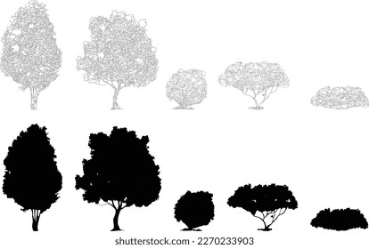silhouette tree line drawing, Side view, set of graphics trees elements outline symbol for architecture and landscape design drawing. Vector illustration in stroke fill in white. Tropical, street tree