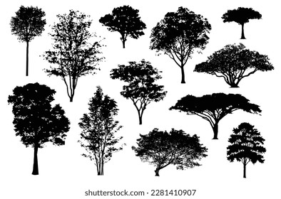 silhouette tree line, Side view, set of graphics trees elements outline symbol for architecture and landscape design drawing. Vector illustration in stroke fill in white. Tropical