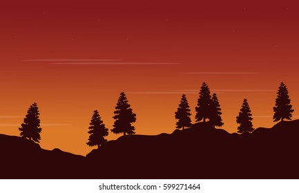 Silhouette of tree lined with orange sky scenery