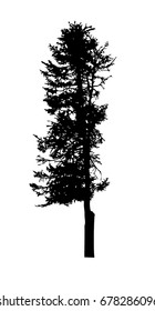 Silhouette tree object. Vector