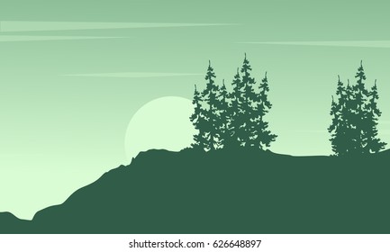 Silhouette of tree on the cliff scenery