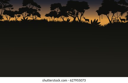 Silhouette of tree on the forest scenery