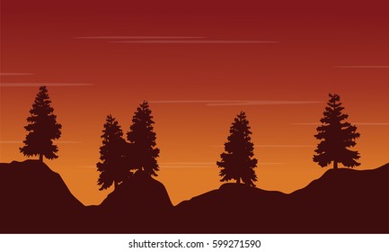 Silhouette tree on the hill landscape