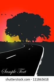 Silhouette of the tree on the road