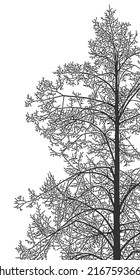 Silueta de un árbol sobre un fondo blanco. Ilustración vectorial realista en blanco y negro de un árbol de lino.