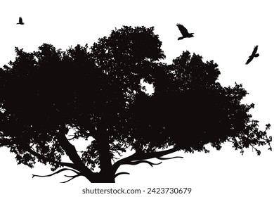 Silhouette eines Baumes auf weißem Hintergrund. Symbol der Natur und der Pflanze.