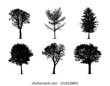 the silhouette tree on white background.Vector trees in silhouettes set