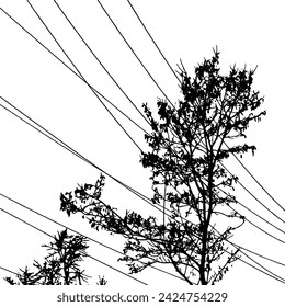 silueta de árbol y líneas de poder