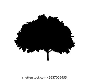 Silhouette tree realistic vector design and illustration.

