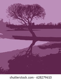 Silhouette of a tree reflected in the water