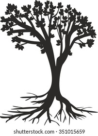 silhouette of tree with roots