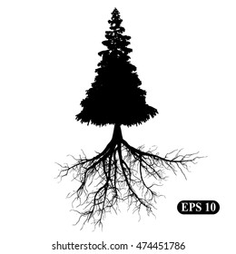 Silhouette of a tree with roots. Illustration, vector EPS 10