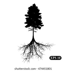 Silhouette of a tree with roots. Illustration, vector EPS 10