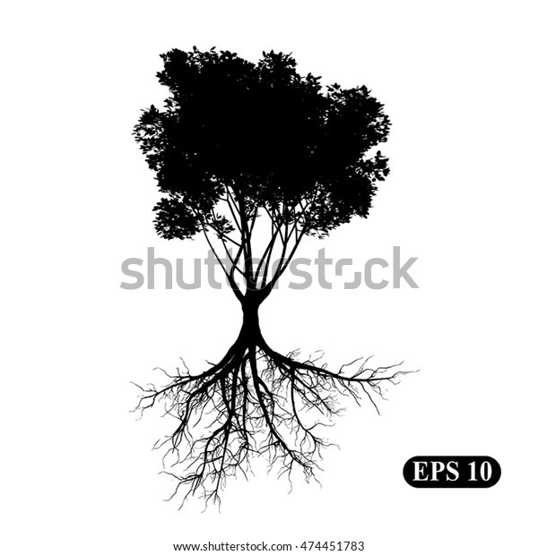 Silhouette Tree Roots Illustration Vector Eps Stock Vector (Royalty ...