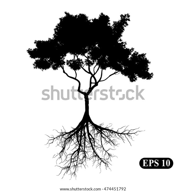 Silhouette Tree Roots Illustration Vector Eps Stock Vector (Royalty ...