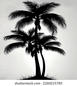 silhouette of tree and roots in nature