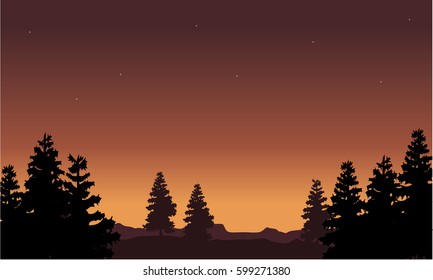 Silhouette of tree scenery collection
