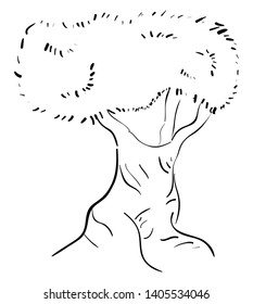 Silhouette of a tree with a single trunk grown to a considerable height bears lateral branches with leaves at some distance from the ground, vector, color drawing or illustration. 