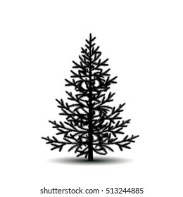 silhouette tree spruce with shadow on white background