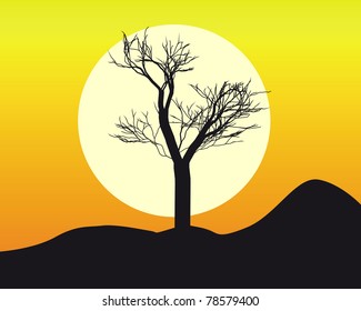 silhouette of a  tree  in the sun and the orange sky