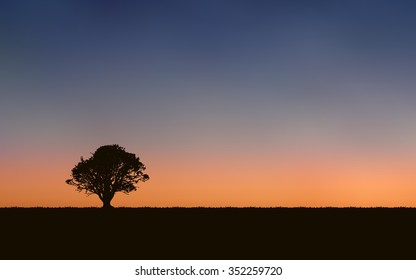 silhouette tree and sunset landscape background (vector)