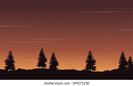 Silhouette of tree at sunset scenery