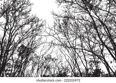 Silhouette the tree texture, vector background EPS10