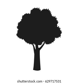 silhouette tree trunk stem branching image