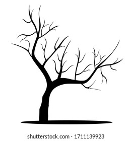 
silhouette of tree trunks and branches against a white background.
