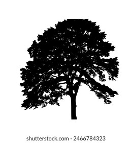 silhouette of a tree	- vector illustration
