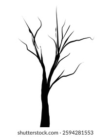 silhouette of tree vector illustration