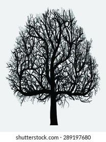 Silhouette of tree, vector illustration