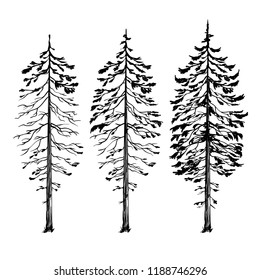 Silhouette of tree, vector illustration isolated on white background, line art illustration, black and white version