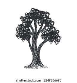 Silhouette of a tree, Vector logo design